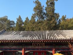 -宫事颐庭·老佛爷贵寿下午茶(颐和园店)