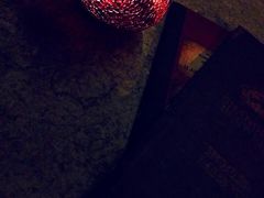-Shanghai Brew House上海啤酒工坊(老外街店)
