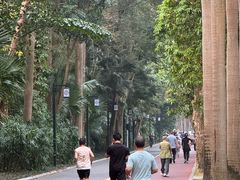 -南宁南湖公园
