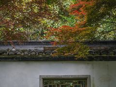 -杭州植物园