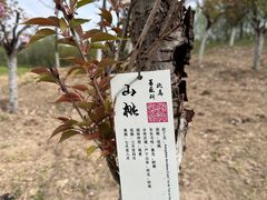 -翠湖国家城市湿地公园