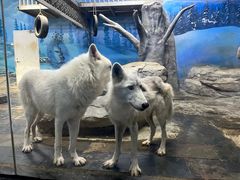 -梦幻海洋王国(吾悦广场张家港店)