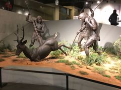 -北京周口店北京人遗址博物馆