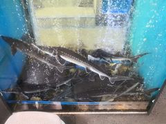 -鲜味食族水产·海鲜餐厅