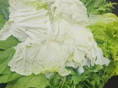-蒙星月涮肚火锅城(宏运家园店)