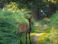 -布波运动公园羽毛球场