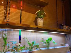 -望京一号·重庆江湖菜(工体店)
