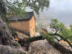-杨家堂村