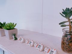 -有猫主题·治愈系猫咖(曾厝垵店)