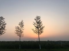 -泗洪洪泽湖湿地景区