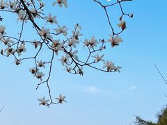 -桂林资江天门山风景区