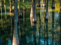 -麓湖高尔夫球俱乐部