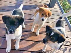 -大兴滨河森林公园