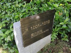 -蓝楹湾度假酒店
