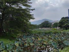 -叶挺将军纪念园