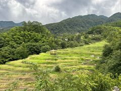 -石台牯牛降景区