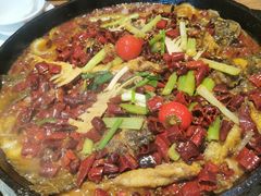 -老板恋上鱼(恒隆广场店)