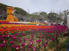 -苏州上方山国家森林公园
