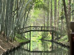 -同里国家湿地公园