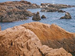 -青岛海滨风景区小青岛