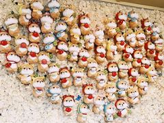 -柴犬高等学院·狗咖·柴犬售卖·宠物训练