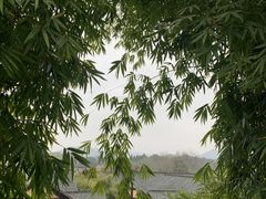 -崇阳三特浪口温泉