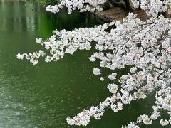 -共青国家森林公园-南大门停车场