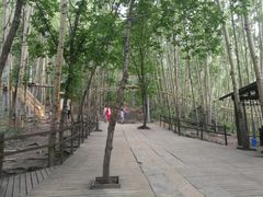 -白草畔自然风景区