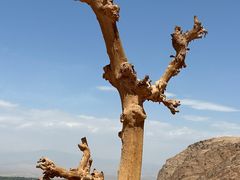 -火焰山景区(火焰山镇)