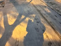 -汉长安城未央宫国家考古遗址公园