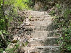-雾灵西峰