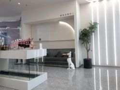 -MINX名珂斯·烫染形象设计