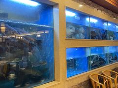 -围龙屋客家食府(福田店)