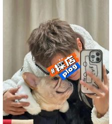 -格调形象
