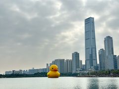 -深圳人才公园