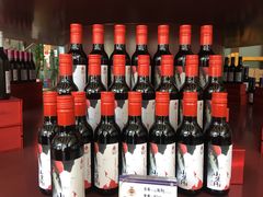 -紫轩葡萄酒庄园
