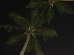 -八一湛江生蚝(文明东路总店)