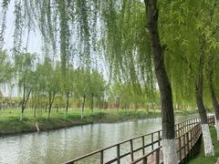 -金色田园农家乐餐厅