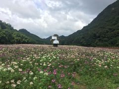 -广州市石门国家森林公园