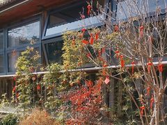 -张鸟园农家乐(张鸟园店)