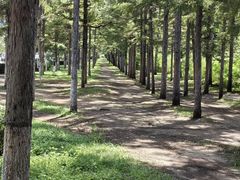 -长春市南湖公园