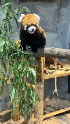 -Zoolung Zoolung动物主题公园(海信广场店)