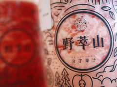 -野萃山·潮汕厚果汁(十亩地店)