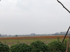 -湘湖金融镇