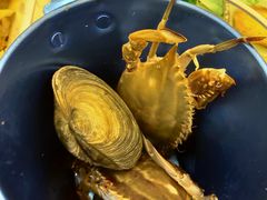 -澜悦港海鲜体验主题餐厅