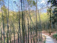 -西湖风景区十里琅珰-五云山