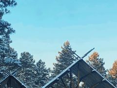 -北极村旅游风景区