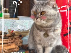 -青州古城