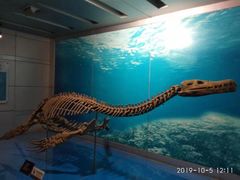 -自贡恐龙博物馆