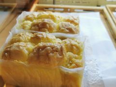 -向阳松鼠(江口店)